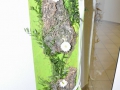 n__DSC0004.jpg