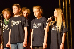 Konzert-Molpe-2017-JHA-250026