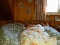 n_IMG-20150228-WA0003.jpg