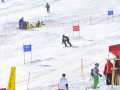 n__DSC0084.jpg