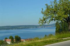 img_1403458046_80