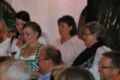 img_1376068776_128