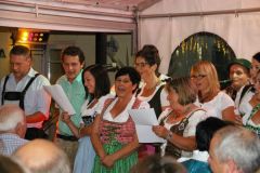 img_1376068776_478