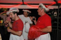 img_1376068791_541