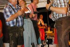 img_1376068798_874